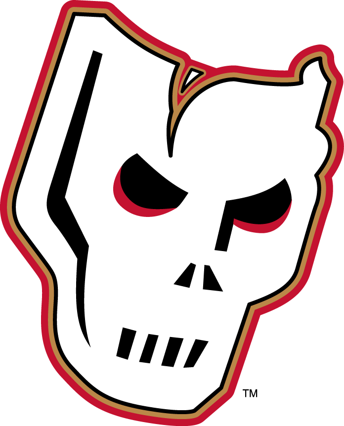 Calgary Hitmen 2009 10-Pres Alternate Logo vinyl decal